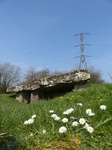 FZ004218 Daisies and electricity pylon at Tinkinswood burial chamber.jpg